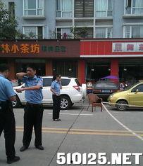 新都一中最新爆料事件,揭秘校园事件背后的真相  第3张